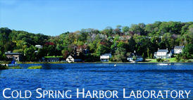 Cold Spring Harbor Laboratories