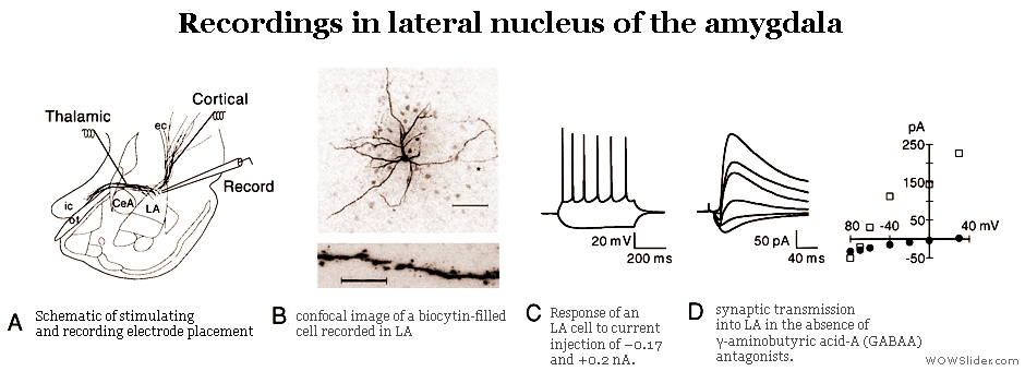 Marc G. Weisskopf, et al.