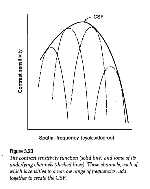 spatial frequency channels