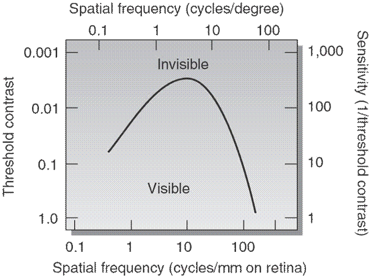 contrast sensitivity function