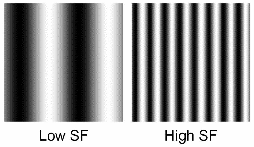 Low and High Spatial Frequency Gratings