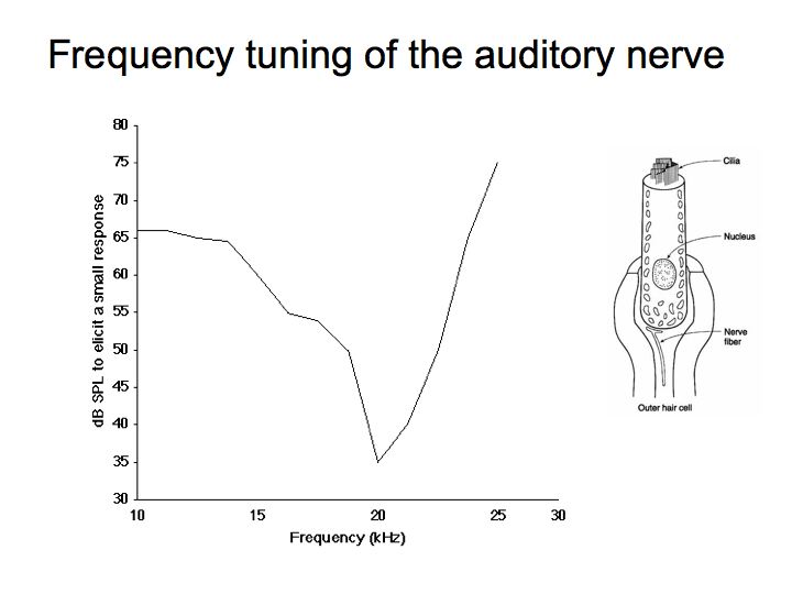 Frequency Tuning