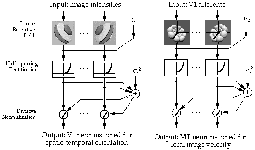 Model wiring diagram