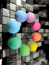 Brouwer-JNeurosci2009