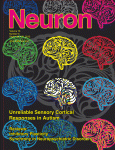 Dinstein-Neuron2012