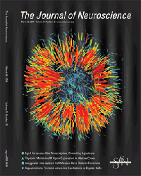 Freeman-JNeurosci2011