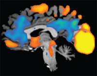 Josipovich-Frontiers2012