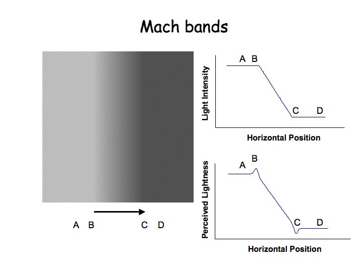 Mach Bands