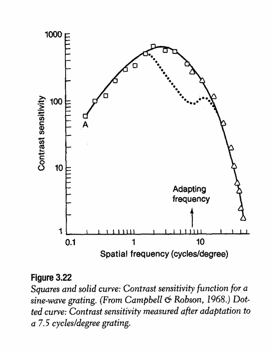 post-adaptation contrast sensitivity function