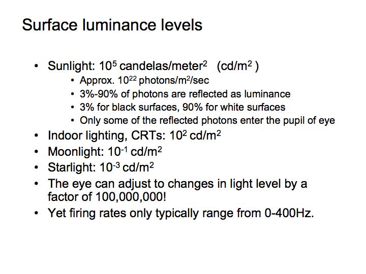 Perception Lecture Light/Dark Adaptation