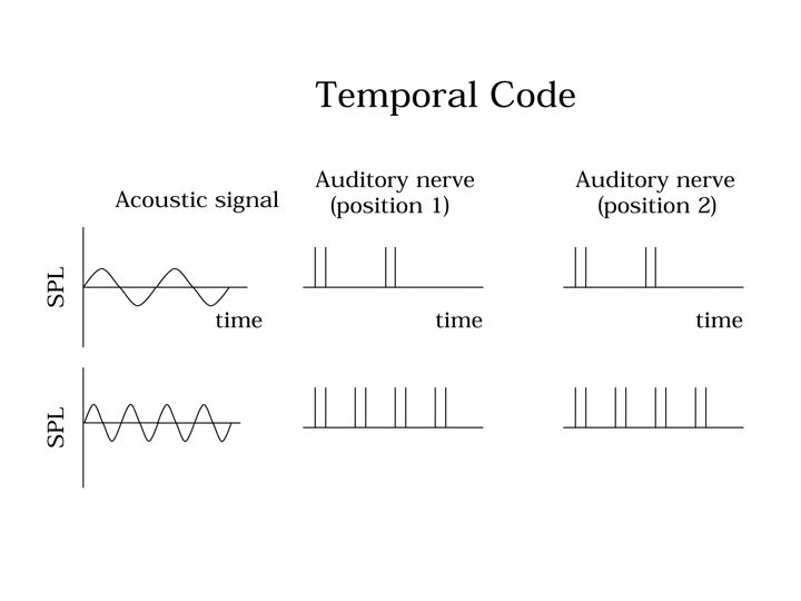 frequency theory of hearing