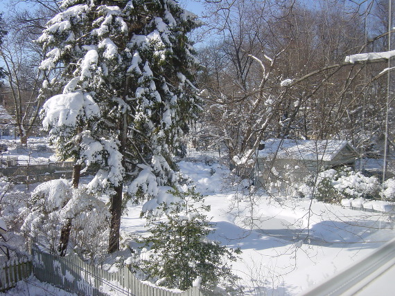 DSC01193.JPG