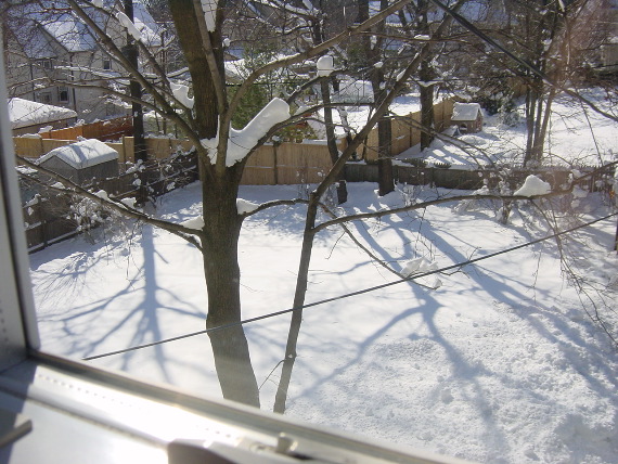 DSC01194.JPG
