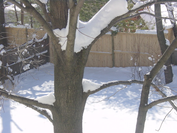 DSC01196.JPG