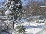 DSC01193.JPG