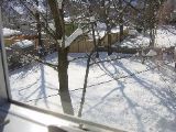 DSC01194.JPG