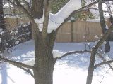 DSC01196.JPG