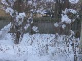 DSC01197.JPG