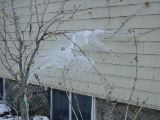 DSC01198.JPG