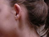 DSC01421.JPG
