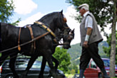 Modes of transportation