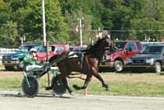 Horse race at the Honesdale fair