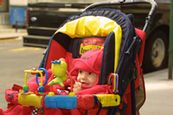 Nestled in the stroller