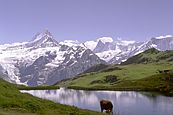 The Bachalpsee