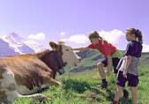 Gal and Nitzan visiting the cows