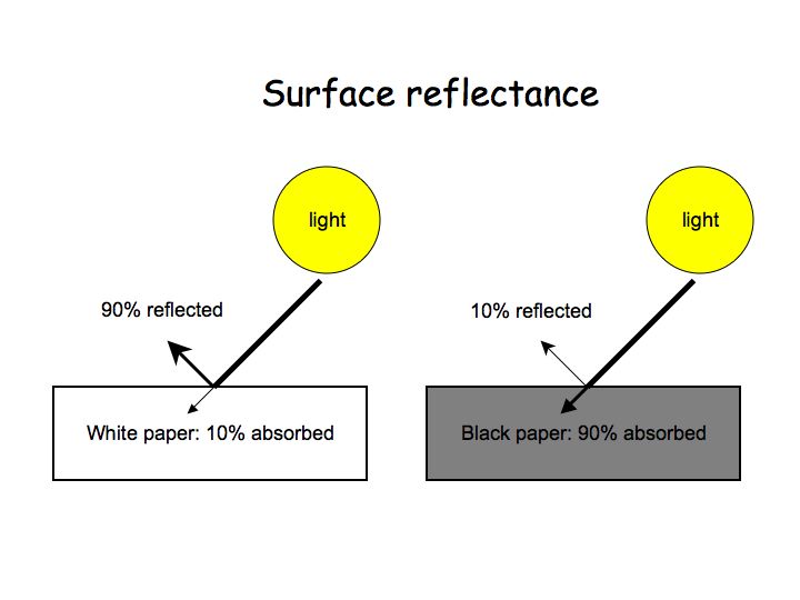 Light Preception Perception Lecture Notes: Brightness